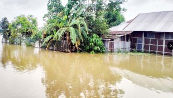 কমলগঞ্জে বন্যায় দুর্ভোগে পানি বন্দী মানুষ, বিশুদ্ধ পানির সংকটে